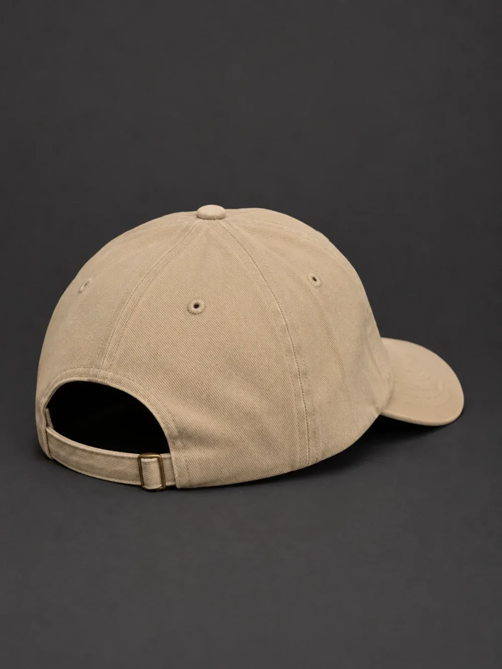 Moon Receiver Cap — back or side view